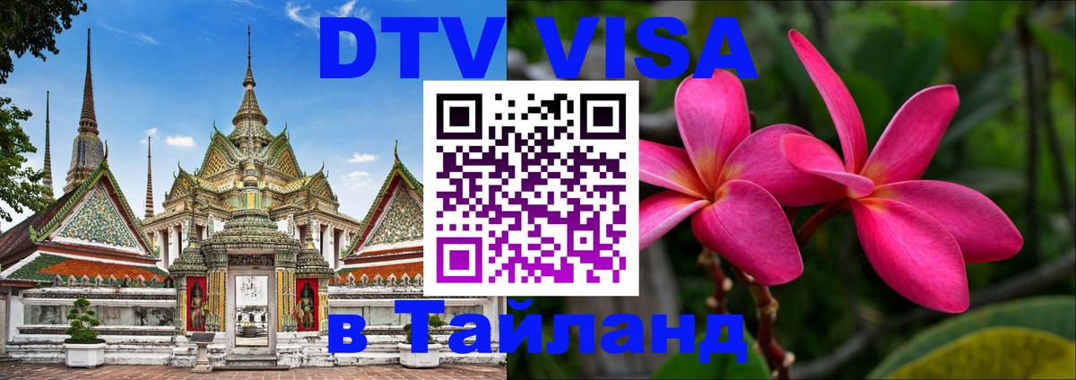 Сколько стоит DTV виза — актуальные цены, оформление даже без документов - Иерусалим 